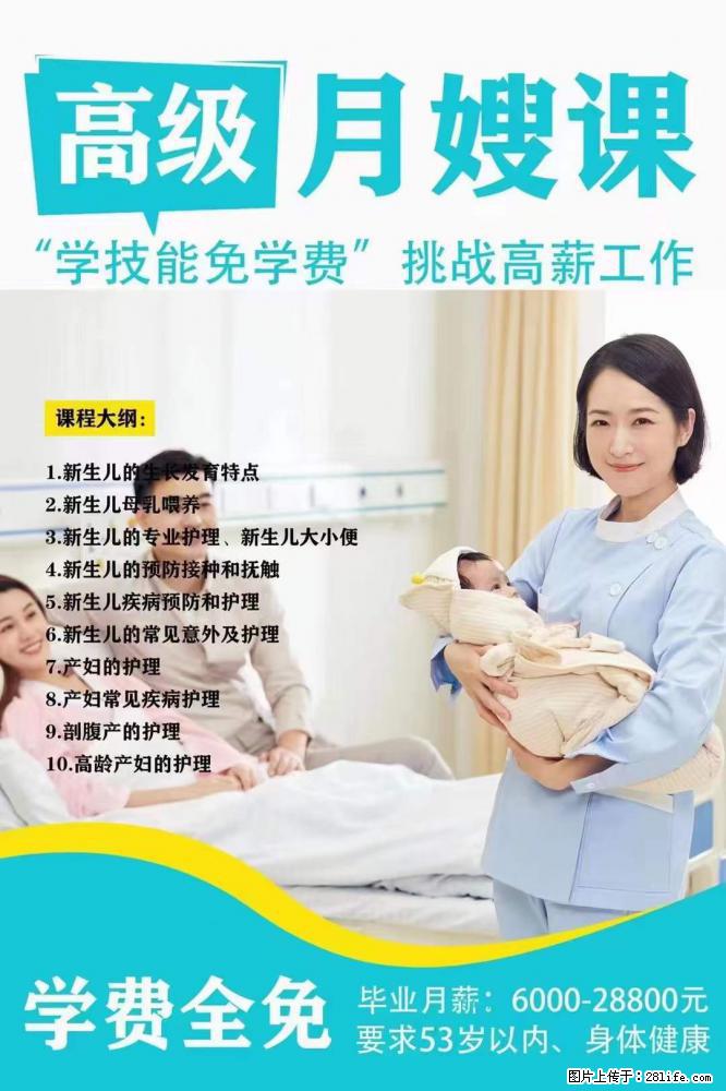 为什么要学习月嫂，育婴师？ - 其他广告 - 广告专区 - 昭通分类信息 - 昭通28生活网 zt.28life.net