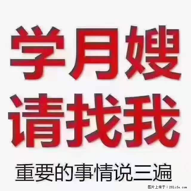 为什么要学习月嫂，育婴师？ - 新手上路 - 昭通生活社区 - 昭通28生活网 zt.28life.net
