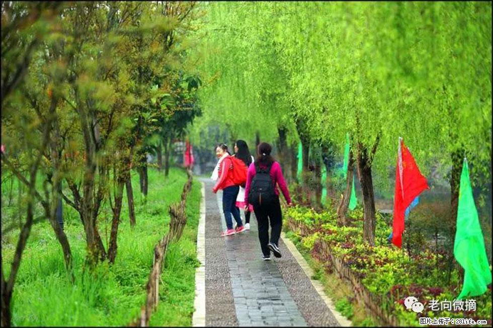 【春天，广西桂林灌阳县向您发出邀请！】江口老街又逢春 - 游山玩水 - 昭通生活社区 - 昭通28生活网 zt.28life.net
