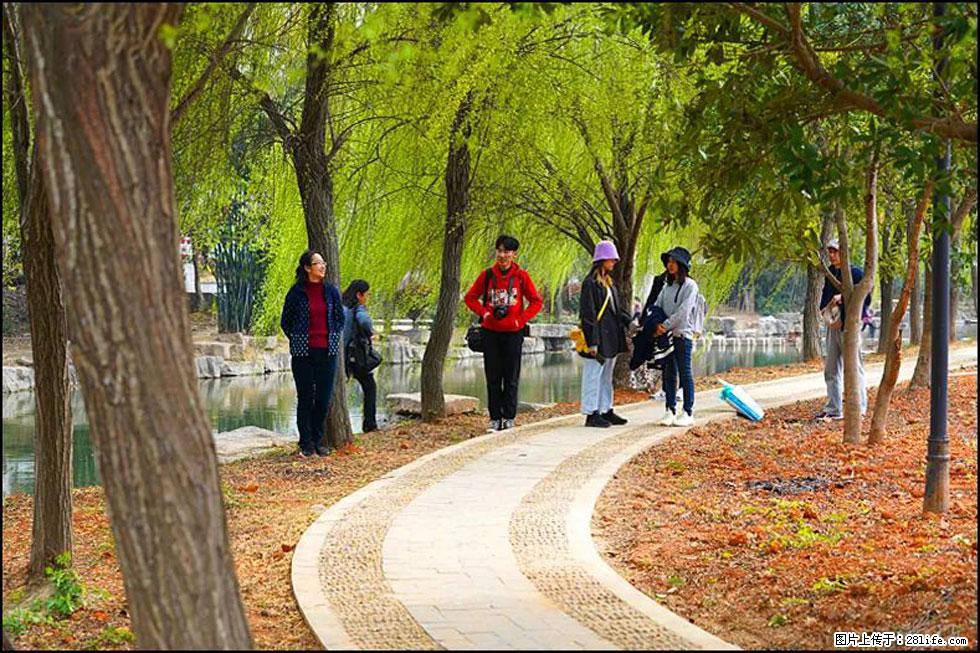 【春天，广西桂林灌阳县向您发出邀请！】江口老街又逢春 - 游山玩水 - 昭通生活社区 - 昭通28生活网 zt.28life.net