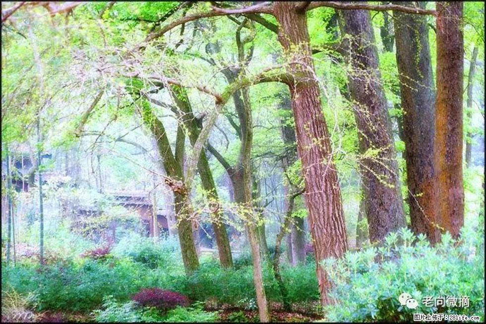 【春天，广西桂林灌阳县向您发出邀请！】在小龙村与春天约会 - 游山玩水 - 昭通生活社区 - 昭通28生活网 zt.28life.net