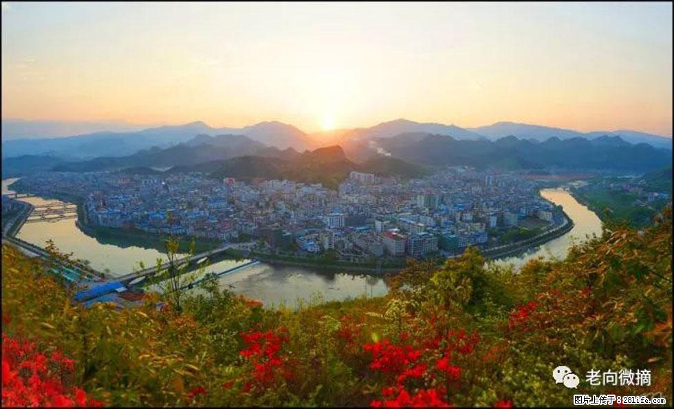 【春天,广西桂林灌阳县向您发出邀请!】登麒麟山,相约映山红 - 游山玩水 - 昭通生活社区 - 昭通28生活网 zt.28life.net