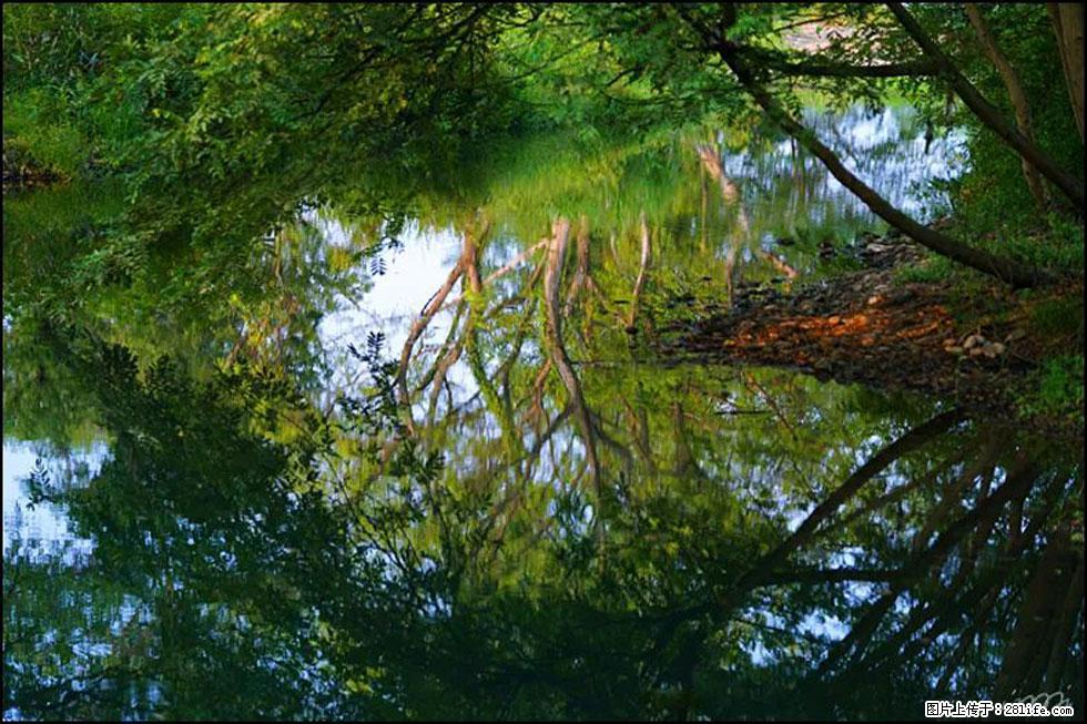 【春天，广西桂林灌阳县向您发出邀请！】熊家寨湿地公园 - 游山玩水 - 昭通生活社区 - 昭通28生活网 zt.28life.net
