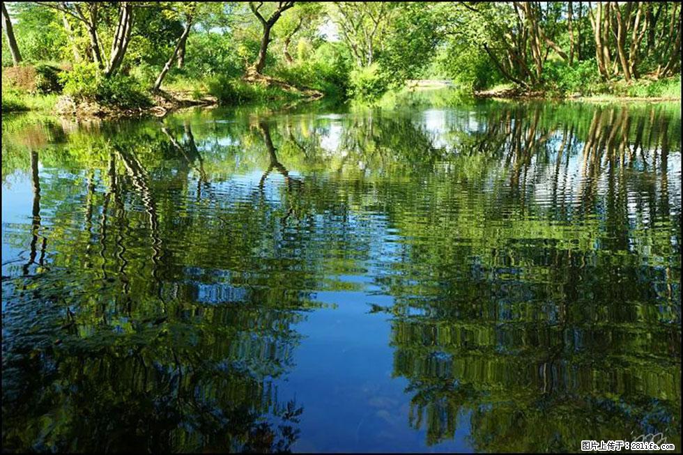 【春天，广西桂林灌阳县向您发出邀请！】熊家寨湿地公园 - 游山玩水 - 昭通生活社区 - 昭通28生活网 zt.28life.net