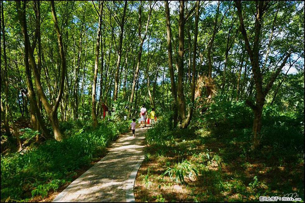 【春天，广西桂林灌阳县向您发出邀请！】熊家寨湿地公园 - 游山玩水 - 昭通生活社区 - 昭通28生活网 zt.28life.net