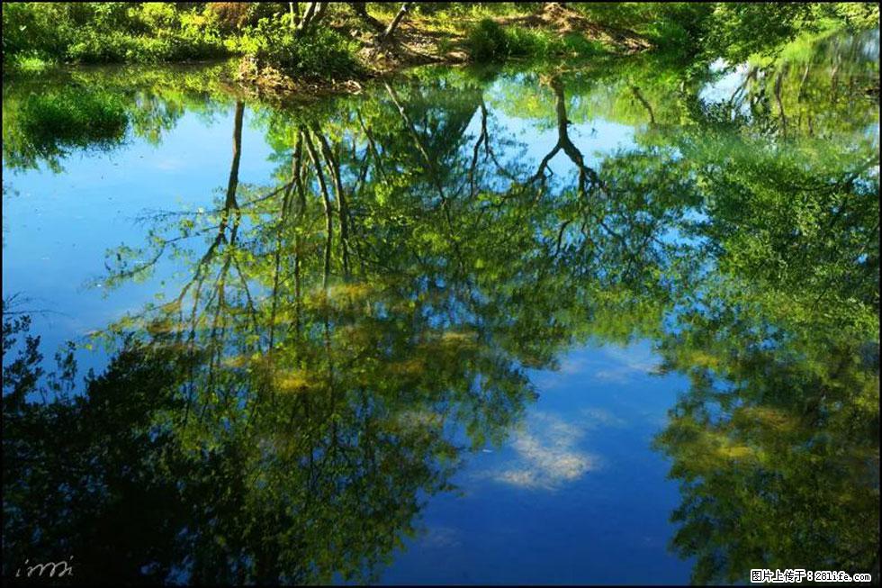 【春天，广西桂林灌阳县向您发出邀请！】熊家寨湿地公园 - 游山玩水 - 昭通生活社区 - 昭通28生活网 zt.28life.net