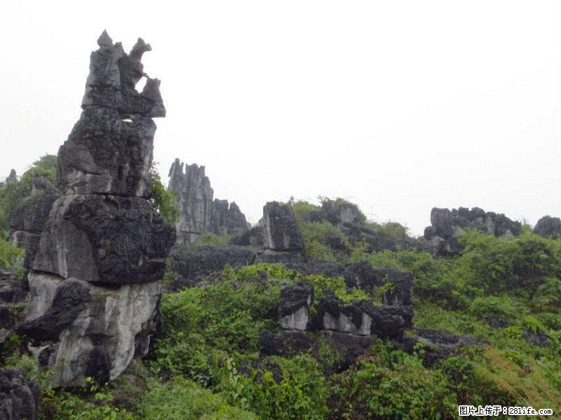 桂林旅游名城景点：灌阳文市石林 - 游山玩水 - 昭通生活社区 - 昭通28生活网 zt.28life.net