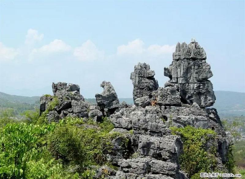 桂林旅游名城景点：灌阳文市石林 - 游山玩水 - 昭通生活社区 - 昭通28生活网 zt.28life.net
