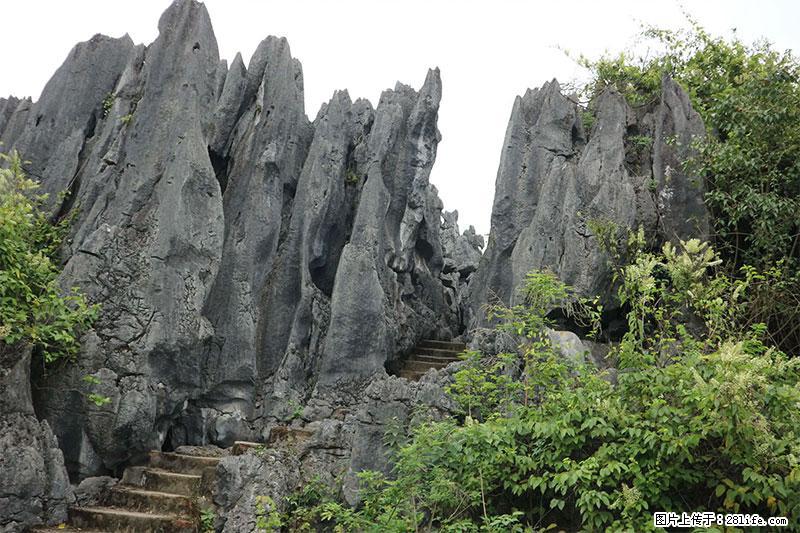 桂林旅游名城景点：灌阳文市石林 - 游山玩水 - 昭通生活社区 - 昭通28生活网 zt.28life.net