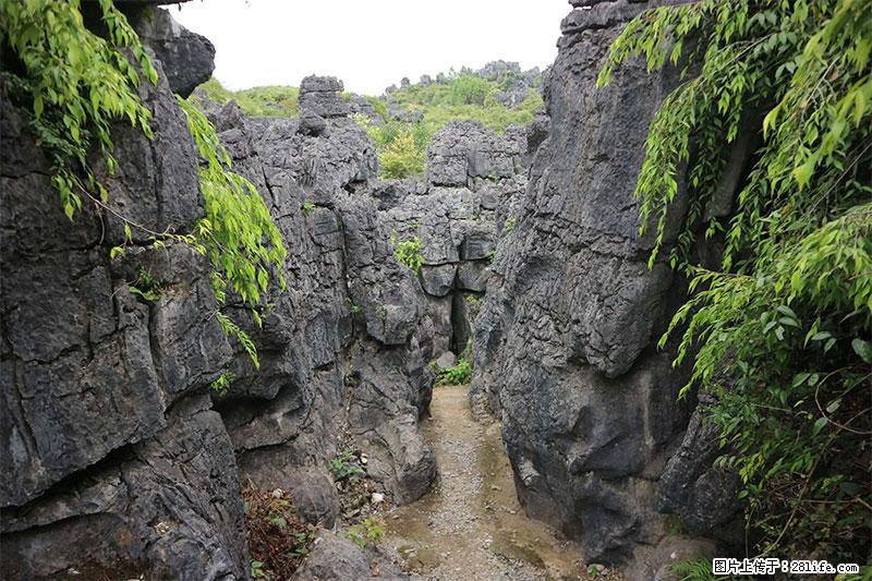 桂林旅游名城景点：灌阳文市石林 - 游山玩水 - 昭通生活社区 - 昭通28生活网 zt.28life.net