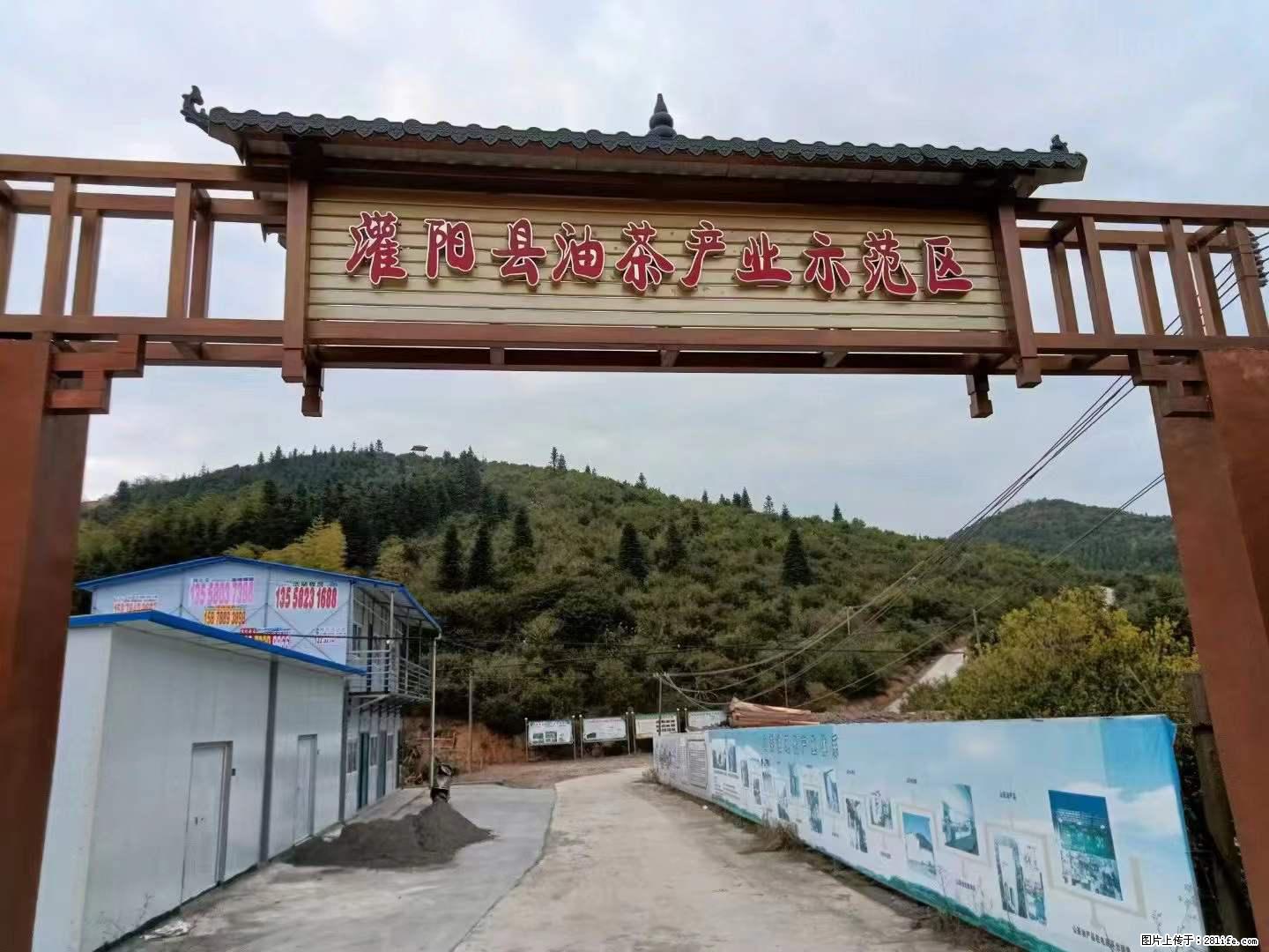 【灌阳县油茶产业示范区】一个有着充实的精神生活的人，对待身外之物自会有一种淡泊的态度 - 美食天地 - 昭通生活社区 - 昭通28生活网 zt.28life.net