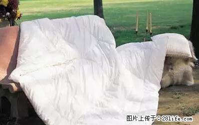 被子有异味？只要这样做，比晒太阳还强100倍！ - 家居生活 - 昭通生活社区 - 昭通28生活网 zt.28life.net