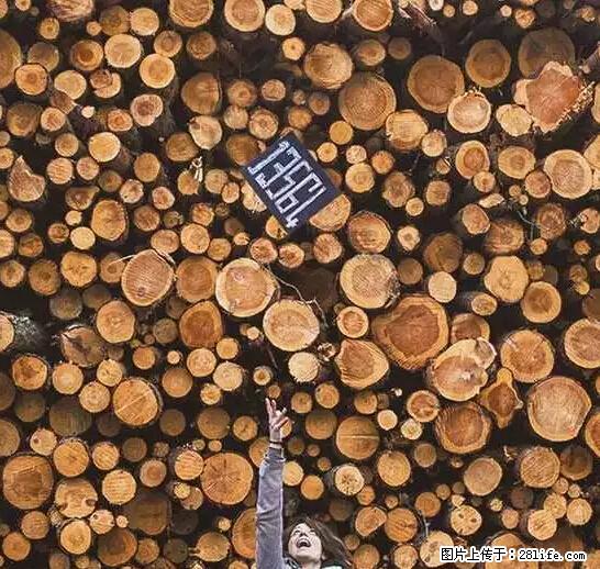 辞掉工作周游世界？现在他们在洗厕所…… - 游山玩水 - 昭通生活社区 - 昭通28生活网 zt.28life.net