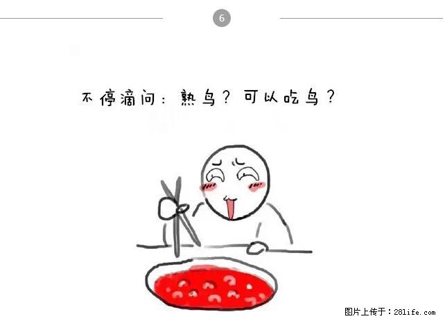 千万不要和这9种哈卵一起吃火锅! - 美食天地 - 昭通生活社区 - 昭通28生活网 zt.28life.net