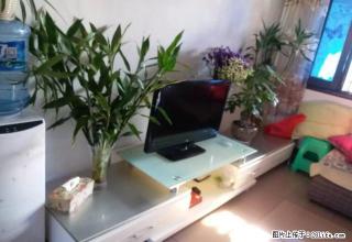小南区稀有小三房带家具家 电停车方便 采光好 - 昭通28生活网 zt.28life.net