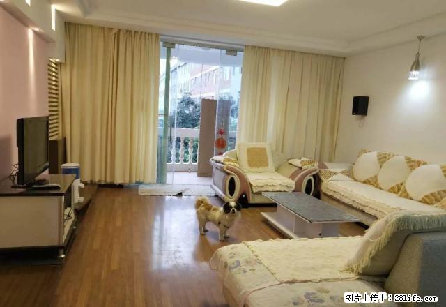 民欣花园 3室2厅 精装修带家具家电 停车方便 欲租从速 - 房屋出租 - 房屋租售 - 昭通分类信息 - 昭通28生活网 zt.28life.net