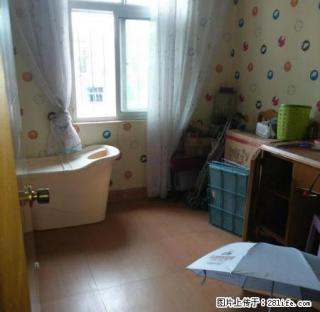 市教师小区3楼精装修，拎包入住 - 昭通28生活网 zt.28life.net