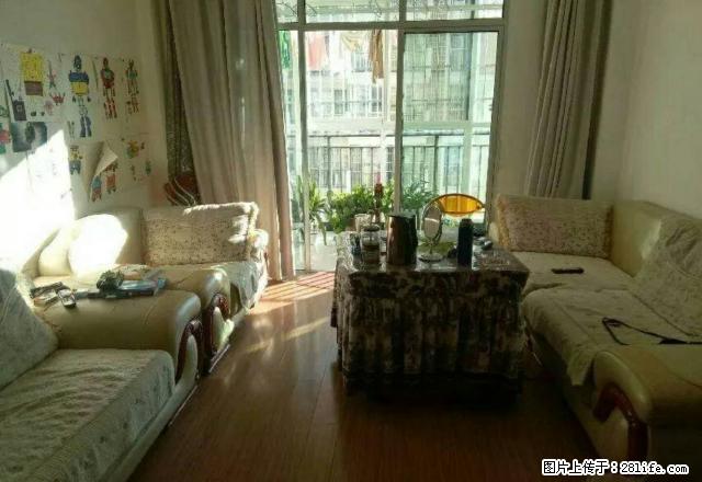 团结路延伸段祥顺嘉园7楼！ - 房屋出租 - 房屋租售 - 昭通分类信息 - 昭通28生活网 zt.28life.net