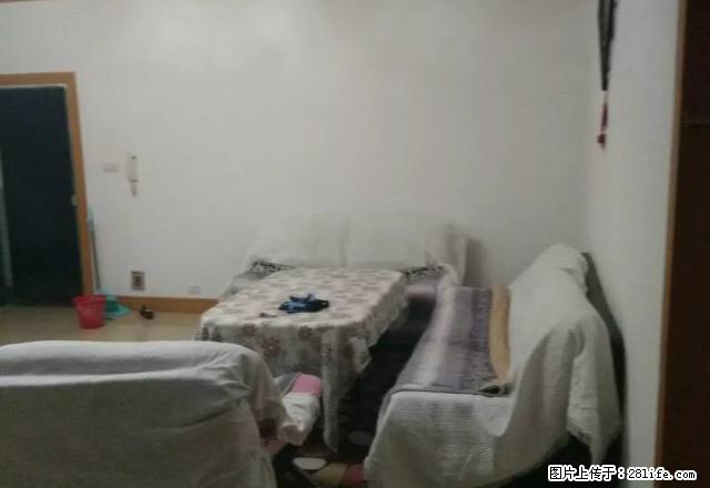 昭苑小区3室2厅1厨1卫精装修 - 房屋出租 - 房屋租售 - 昭通分类信息 - 昭通28生活网 zt.28life.net