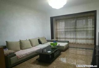 紫光小区一期 精装修 带全套家具家电出租 拎包入住 - 昭通28生活网 zt.28life.net