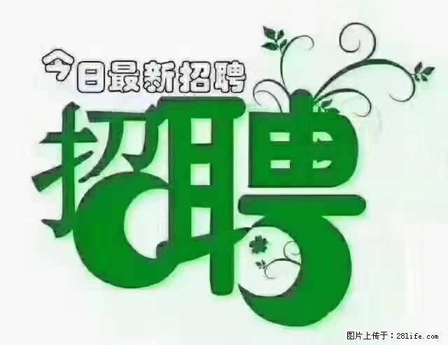 【招聘】产康师 - 职场交流 - 昭通生活社区 - 昭通28生活网 zt.28life.net