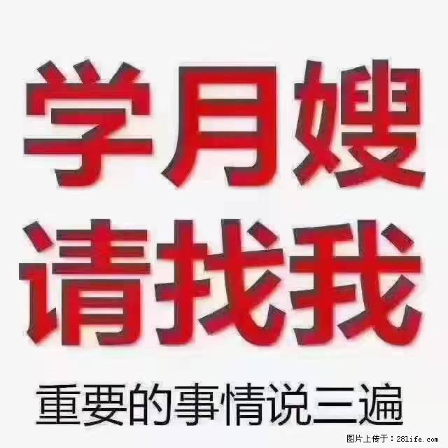 【招聘】月嫂，上海徐汇区 - 职场交流 - 昭通生活社区 - 昭通28生活网 zt.28life.net