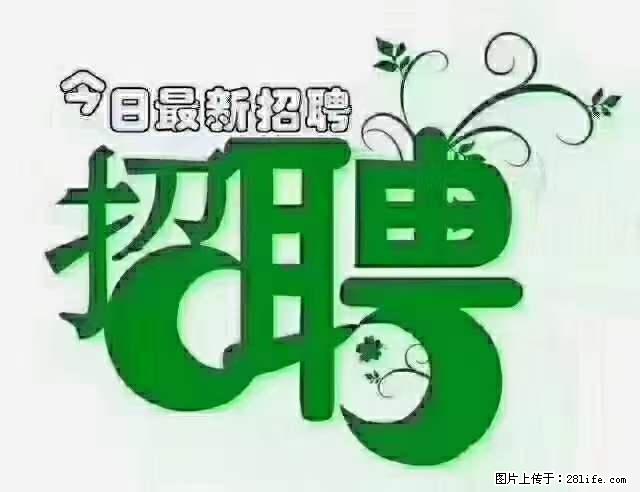 上海隔离酒店招人：55岁以下 男女不限 - 职场交流 - 昭通生活社区 - 昭通28生活网 zt.28life.net