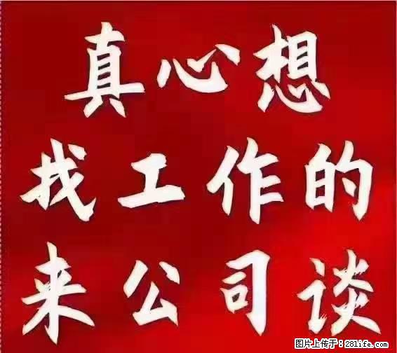 【上海】国企，医院招两名男保安，55岁以下，身高1.7米以上，无犯罪记录不良嗜好 - 职场交流 - 昭通生活社区 - 昭通28生活网 zt.28life.net
