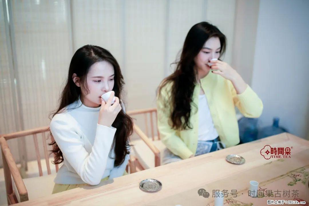 时间果百年古树龙珠普洱生茶 - 购物交流 - 昭通生活社区 - 昭通28生活网 zt.28life.net