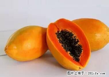 晕车、脚气、牙齿变黄、皮肤粗糙？学会这些三分钟搞定！ - 昭通生活资讯 - 昭通28生活网 zt.28life.net