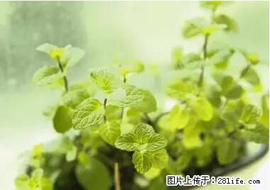 晕车、脚气、牙齿变黄、皮肤粗糙？学会这些三分钟搞定！ - 昭通生活资讯 - 昭通28生活网 zt.28life.net
