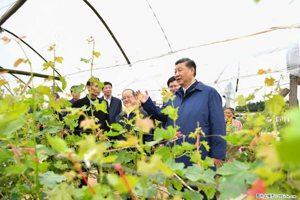 习近平赴广西考察调研 - 昭通生活资讯 - 昭通28生活网 zt.28life.net