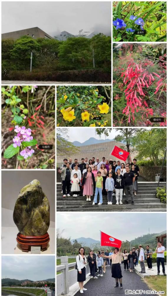 “粤灌文化 美好生活”油茶文化主题活动在广东深圳成功举办 - 昭通生活资讯 - 昭通28生活网 zt.28life.net