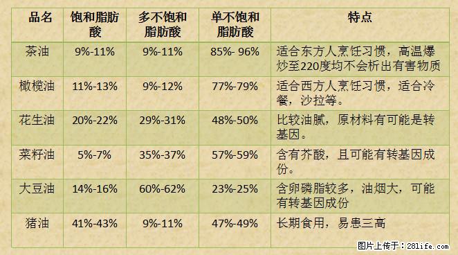 揭秘茶油的5大核心营养成分！被称为人体健康的“守护盾”！ - 昭通生活资讯 - 昭通28生活网 zt.28life.net