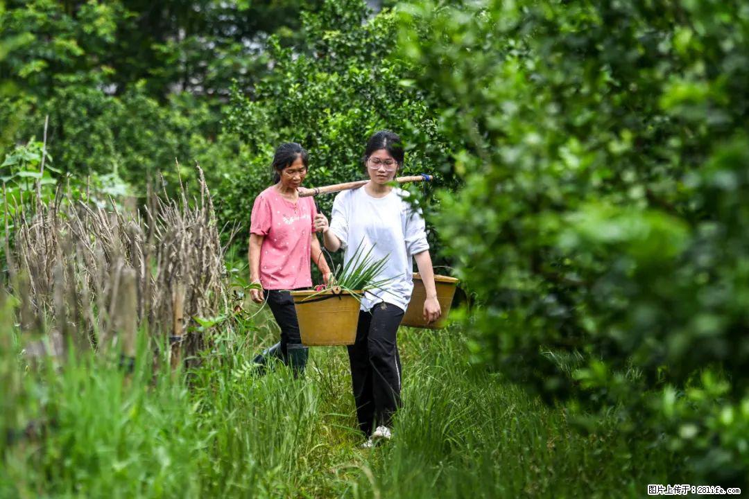 全网追的“扁担女孩”，找了一份暑假工，时薪12元 - 昭通生活资讯 - 昭通28生活网 zt.28life.net