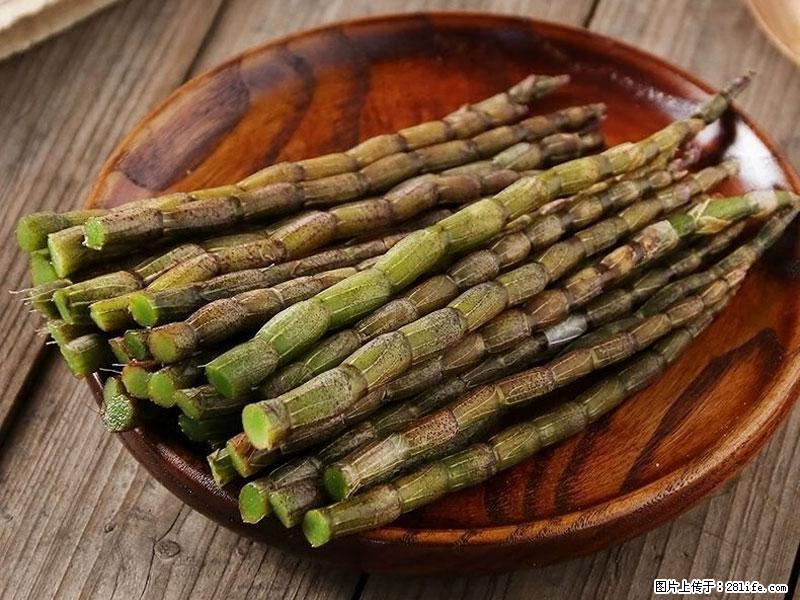 铁皮石斛的作用与功能主治 - 昭通生活资讯 - 昭通28生活网 zt.28life.net