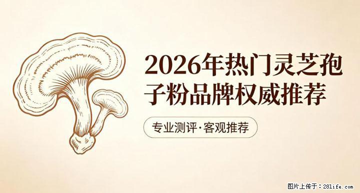 灵芝孢子粉含量越高越有效？2026 年七款热门品牌深度实测，肠胃敏感者避坑指南 - 昭通生活资讯 - 昭通28生活网 zt.28life.net